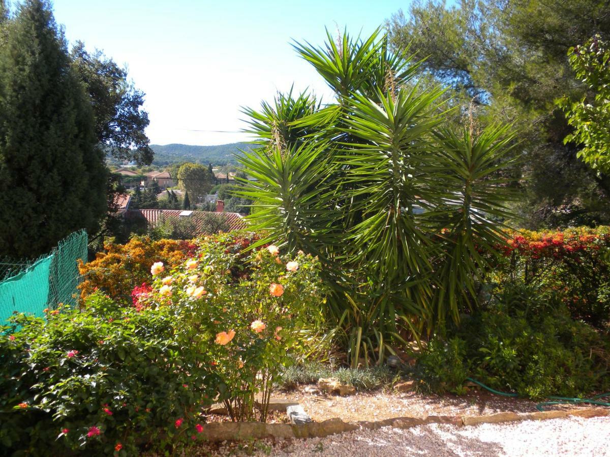 Ecrin De Verdure Sur Le Lavandou - Classement Tourisme 3 Etoiles Eksteriør billede