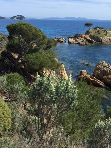 Ecrin De Verdure Sur Le Lavandou - Classement Tourisme 3 Etoiles Eksteriør billede